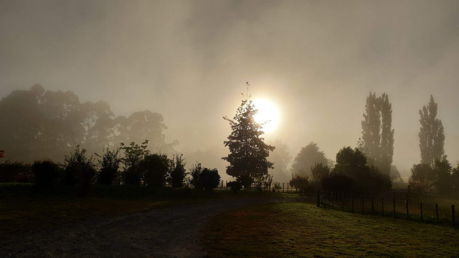 Morning Fog Feb 1st 2021